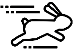 rabbit-v2